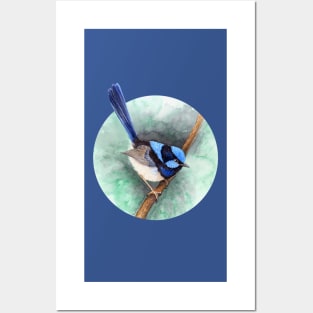 Superb Blue Fairy-Wren by Nadya Neklioudova Posters and Art